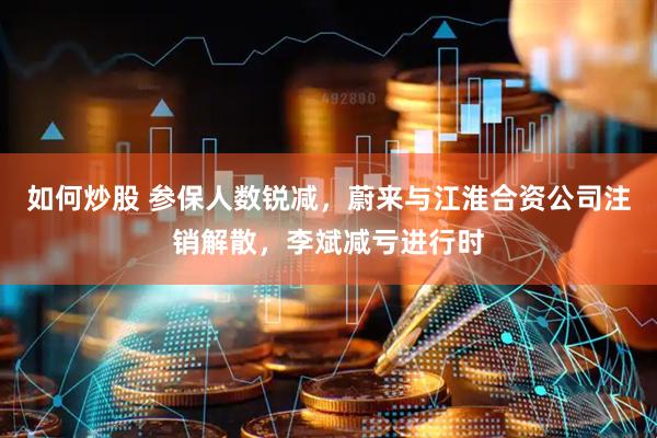 如何炒股 参保人数锐减，蔚来与江淮合资公司注销解散，李斌减亏进行时