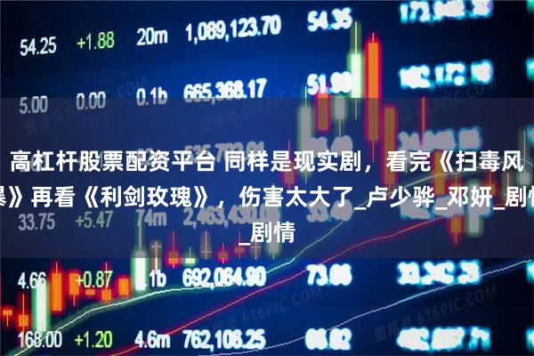 高杠杆股票配资平台 同样是现实剧，看完《扫毒风暴》再看《利剑玫瑰》，伤害太大了_卢少骅_邓妍_剧情